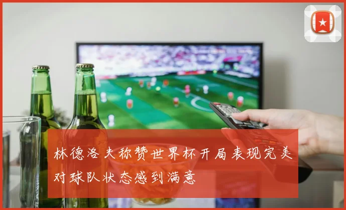 林德洛夫称赞世界杯开局表现完美对球队状态感到满意