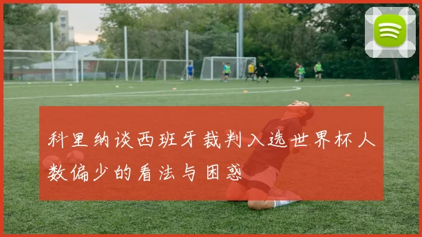 科里纳谈西班牙裁判入选世界杯人数偏少的看法与困惑