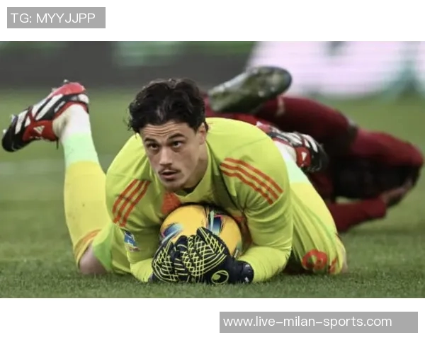 意甲门将身价最新排行卡内塞基斯维拉尔迈尼昂并列第一