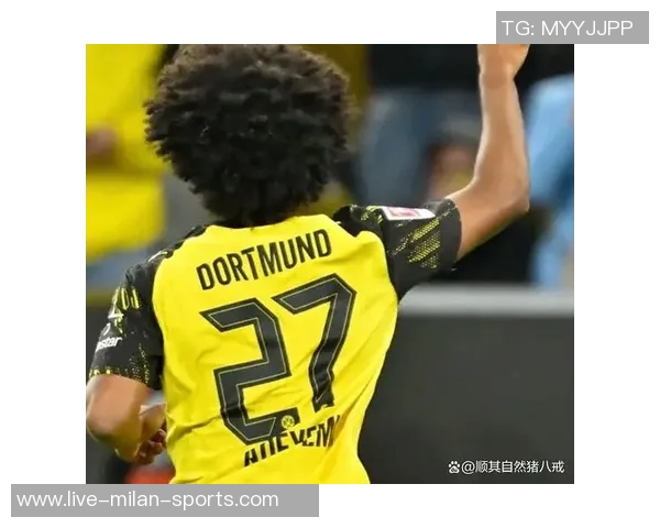 多特蒙德球员身价大幅波动阿德耶米领涨1500万欧元