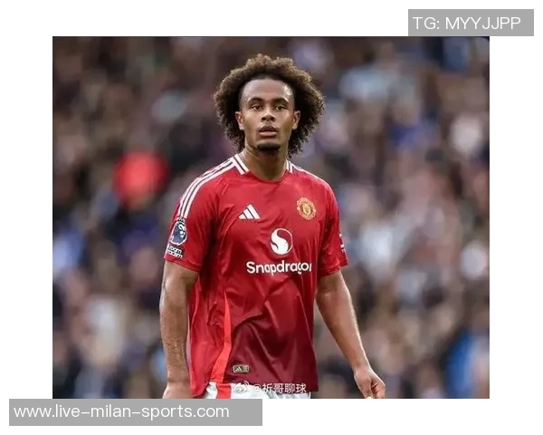 冬季转会战罗马米兰争夺齐尔克泽新前锋